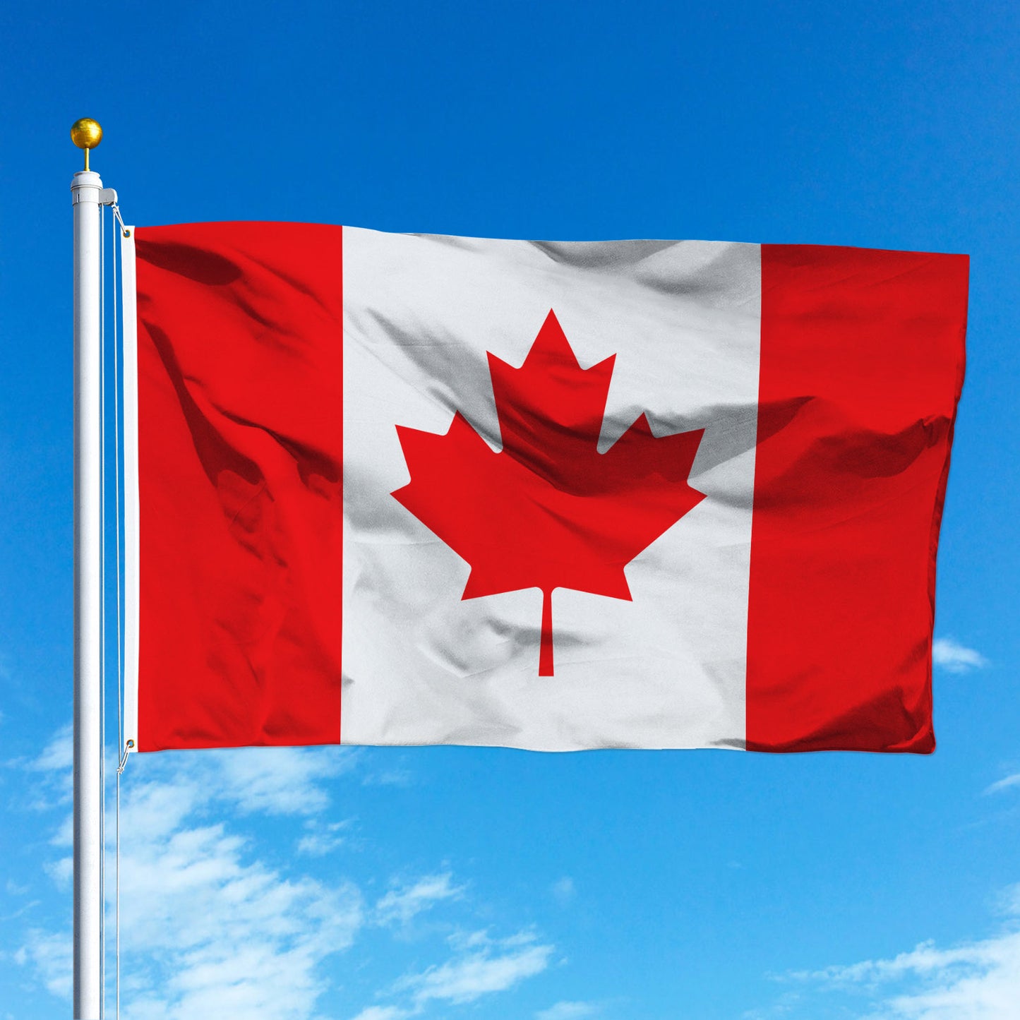 PTEROSAUR Canada Flag, CA Canadian National Flag with Brass Grommets for Room Indoor Outdoor Decor Banner