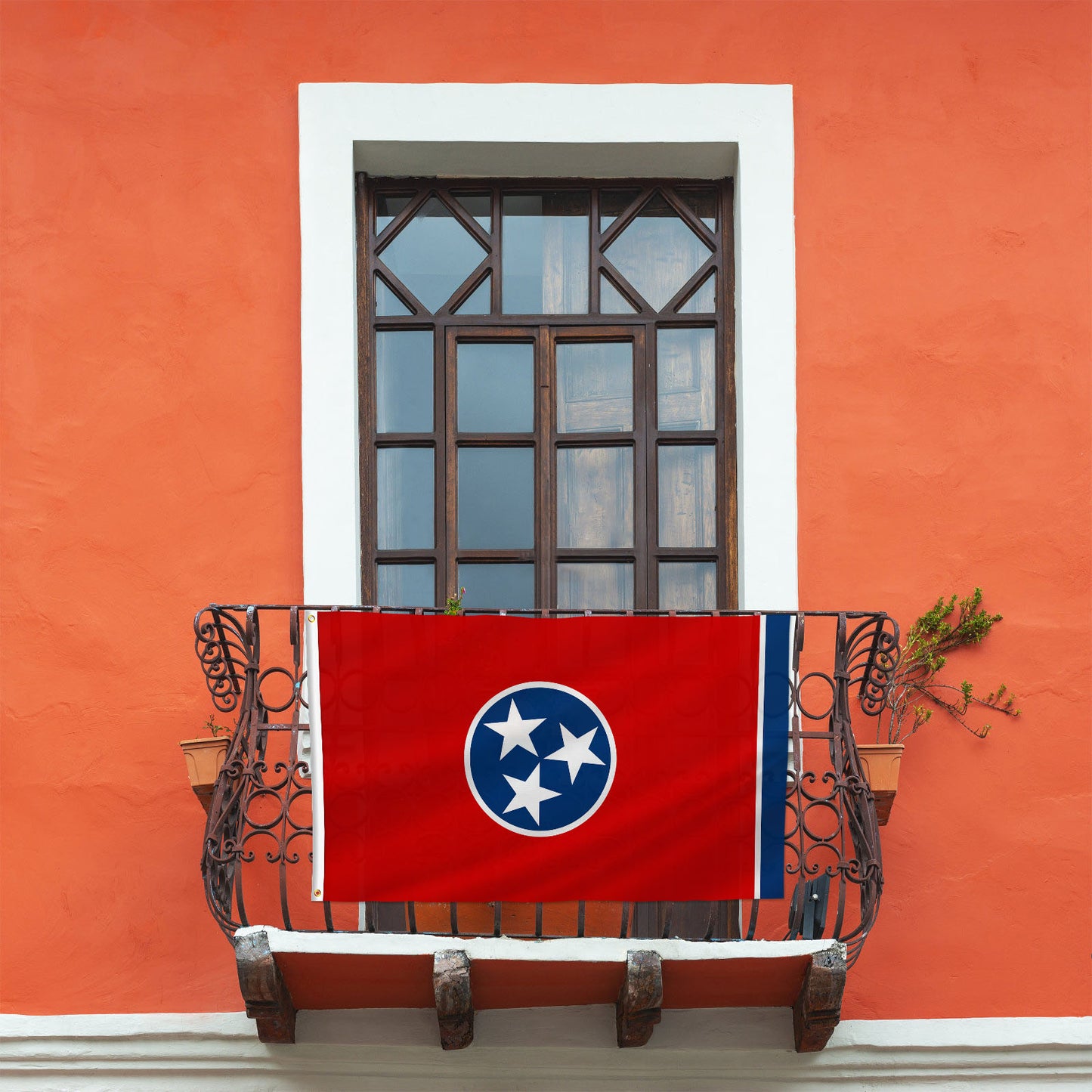 PTEROSAUR USA Tennessee Flag, US American Tennessean State Flag with Brass Grommets for Outdoor and Indoor Decoration Banner