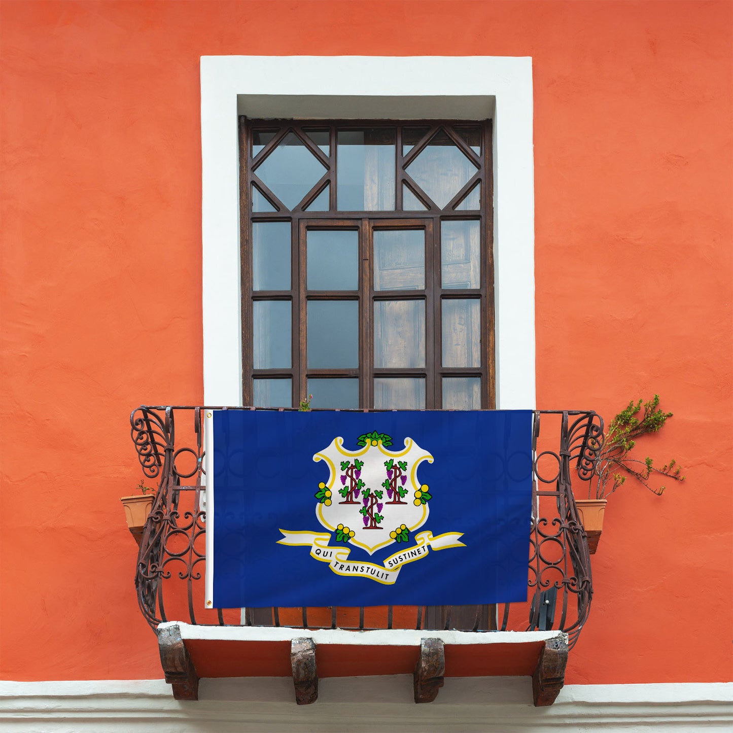 PTEROSAUR USA Connecticut Flag, US American CT Connecticut State Flag with Brass Grommets for Outdoor Indoor Decoration Banner