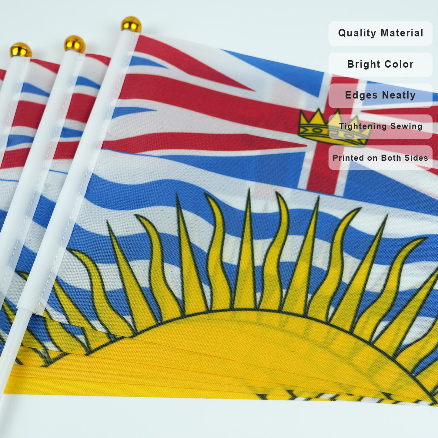 PTEROSAUR 14x21cm Canada British Columbia Province Hand Flag