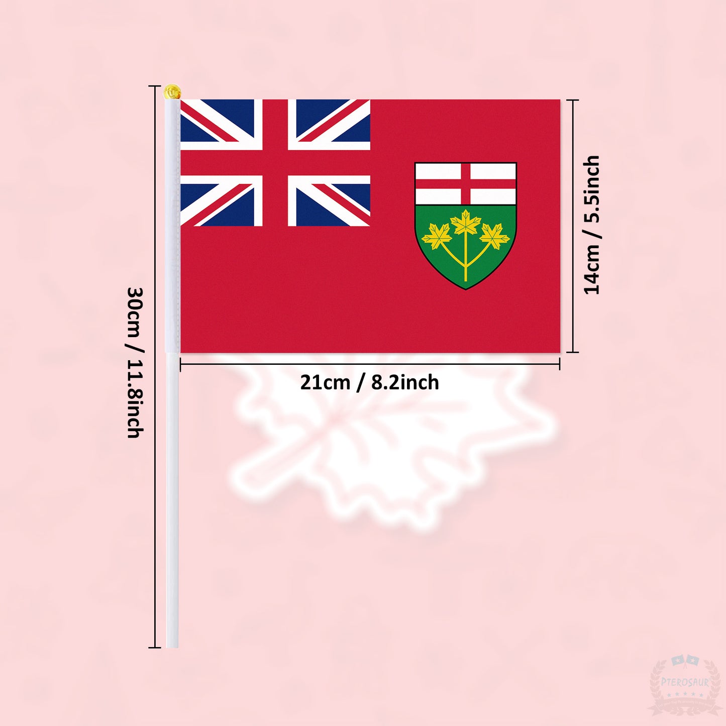 PTEROSAUR 14x21cm Canada Ontario Province Hand Flag