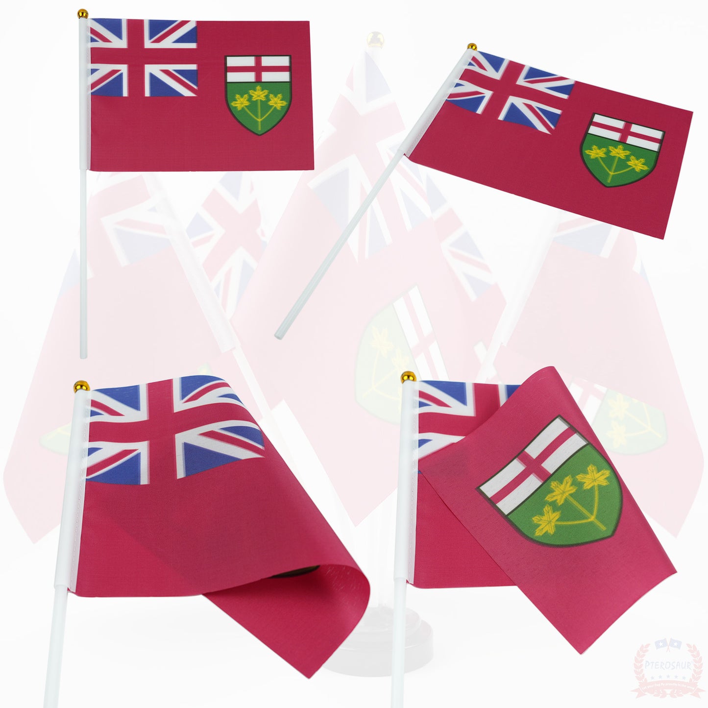 PTEROSAUR 14x21cm Canada Ontario Province Hand Flag