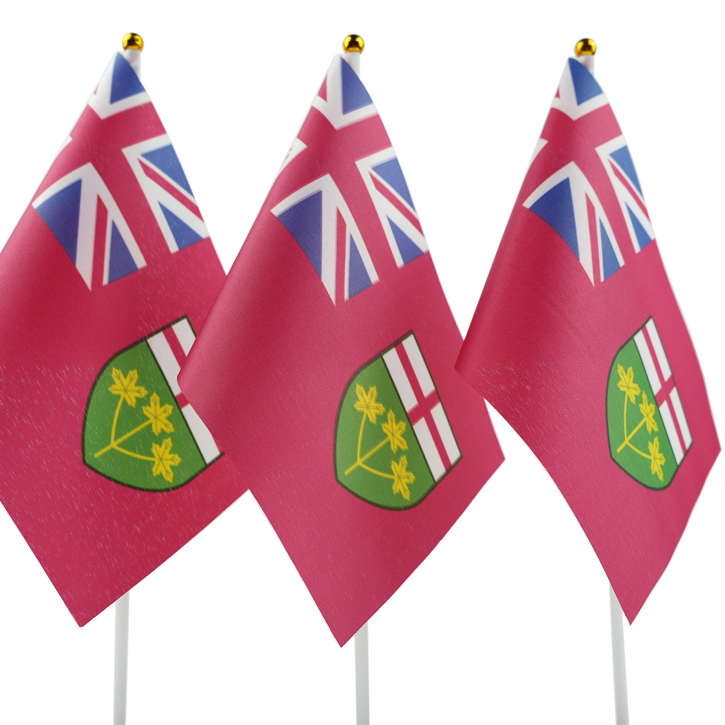 PTEROSAUR 14x21cm Canada Ontario Province Hand Flag