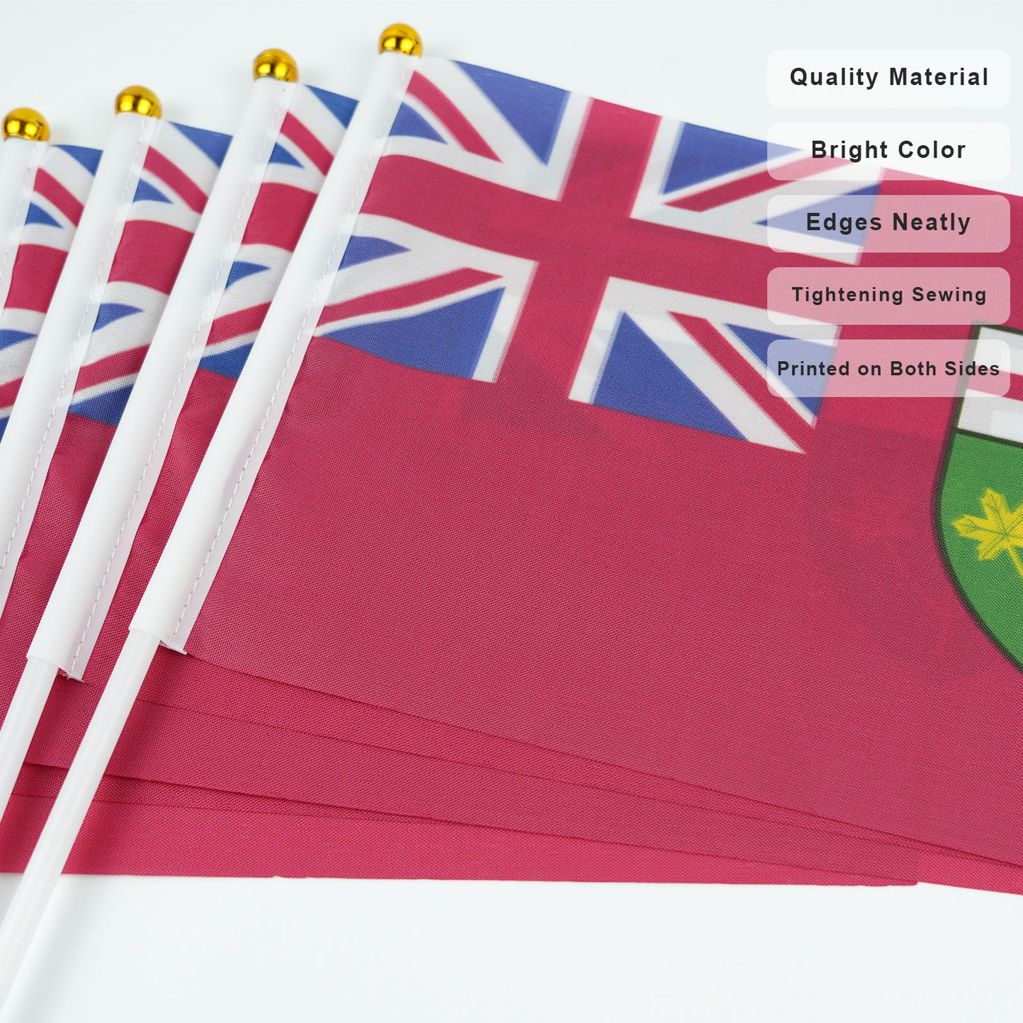 PTEROSAUR 14x21cm Canada Ontario Province Hand Flag