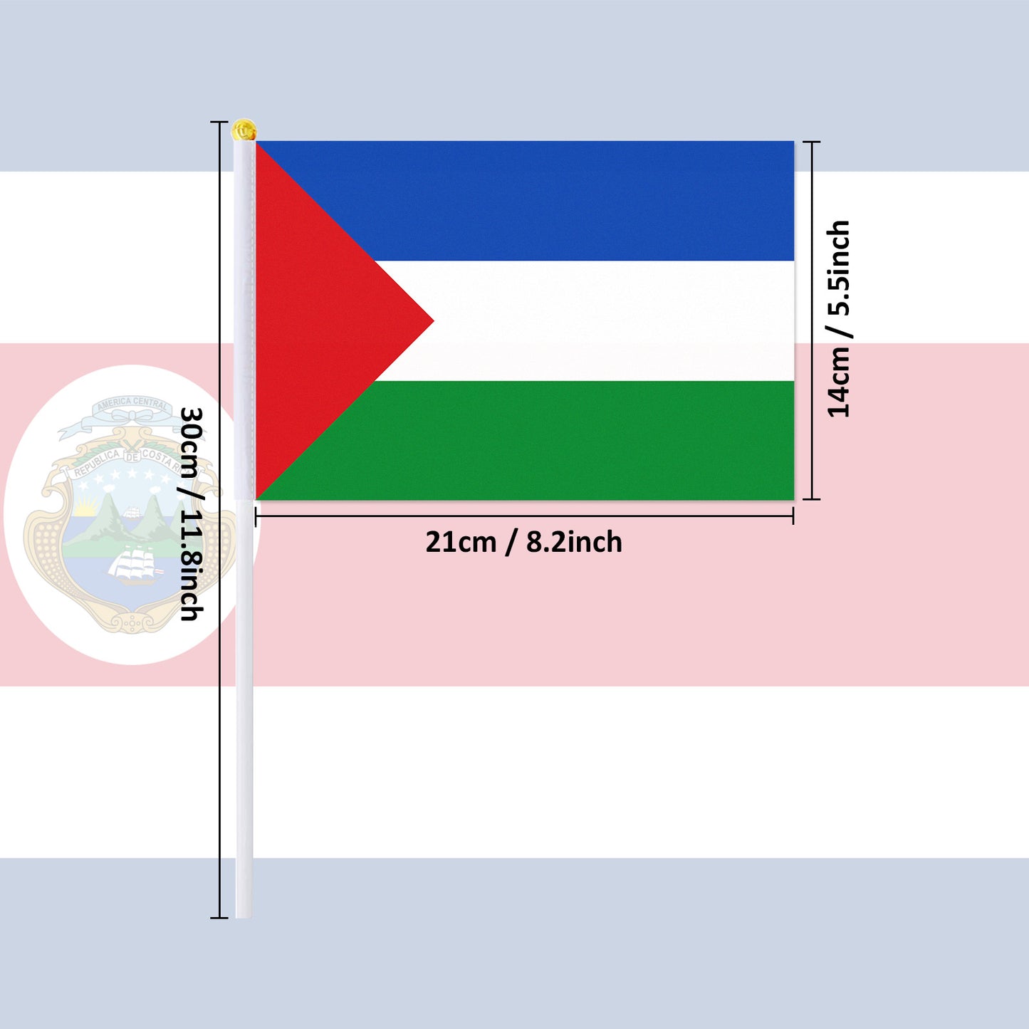 PTEROSAUR-5.5x8.2 Inch Costa Rica Province Hand Flag, Alajuela Cartago Guanacaste Heredia Limón Puntarenas San José Handheld Flags