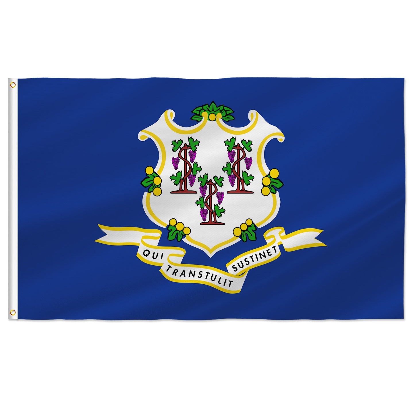 PTEROSAUR USA Connecticut Flag, US American CT Connecticut State Flag with Brass Grommets for Outdoor Indoor Decoration Banner
