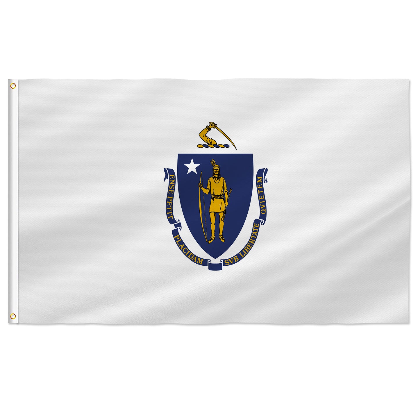 PTEROSAUR USA Massachusetts Flag, US American Massachusetts State Flag with Brass Grommets for Outdoor Indoor Decoration Banner