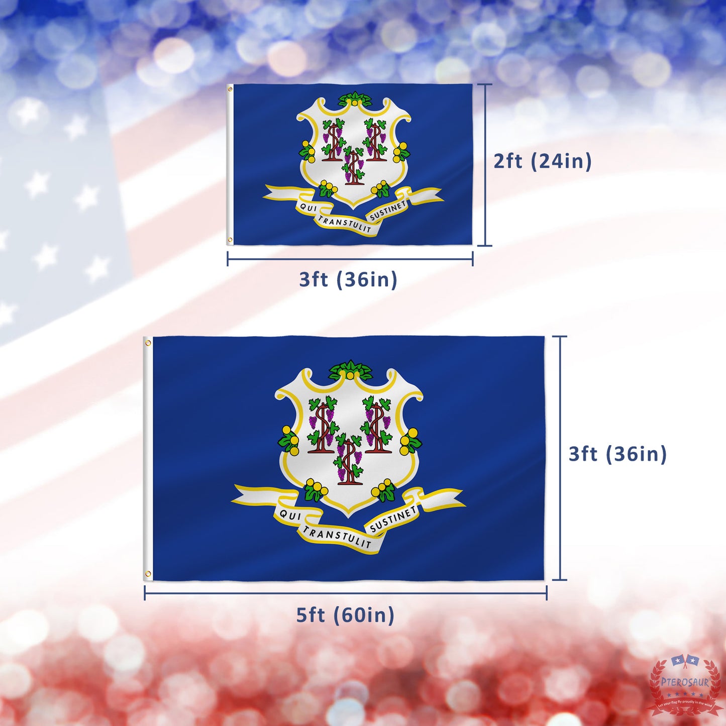 PTEROSAUR USA Connecticut Flag, US American CT Connecticut State Flag with Brass Grommets for Outdoor Indoor Decoration Banner