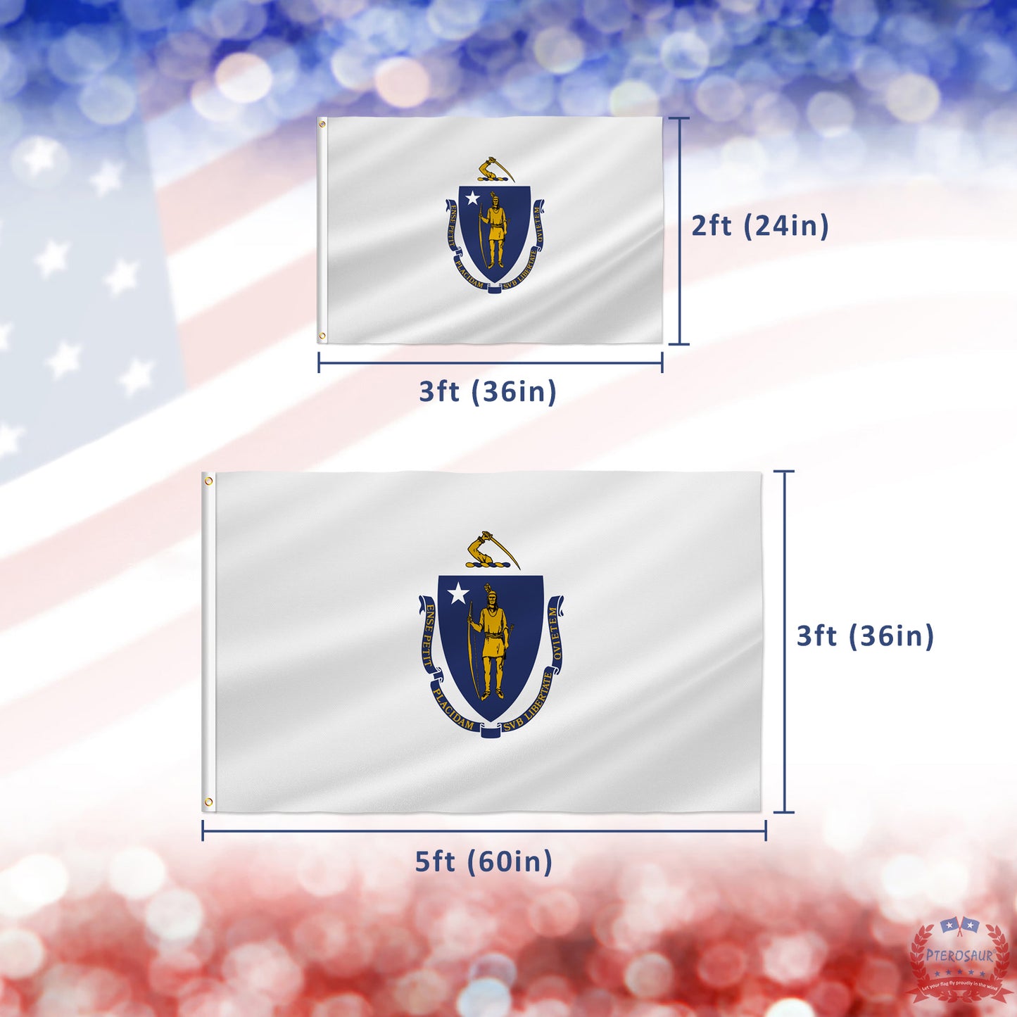 PTEROSAUR USA Massachusetts Flag, US American Massachusetts State Flag with Brass Grommets for Outdoor Indoor Decoration Banner
