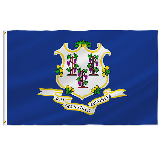 PTEROSAUR USA Connecticut Flag, US American CT Connecticut State Flag with Brass Grommets for Outdoor Indoor Decoration Banner