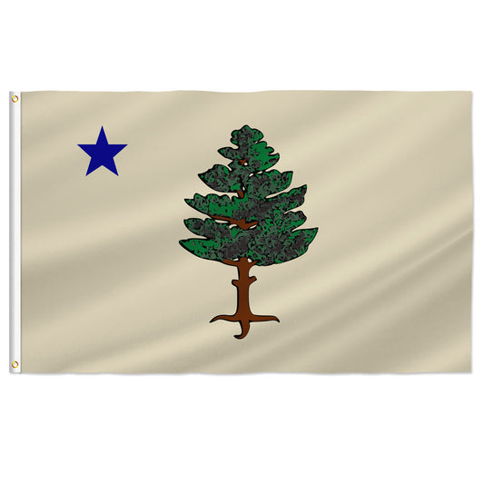PTEROSAUR New Maine State Flag, US American Maine 1901-1909 Original Flags, Brass Grommets Outdoor Indoor Decoration Banner