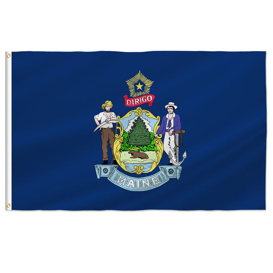 PTEROSAUR USA Maine Flag, US American Maine State Flag with Brass Grommets for Outdoor and Indoor Decoration Banner