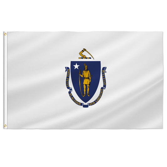 PTEROSAUR USA Massachusetts Flag, US American Massachusetts State Flag with Brass Grommets for Outdoor Indoor Decoration Banner