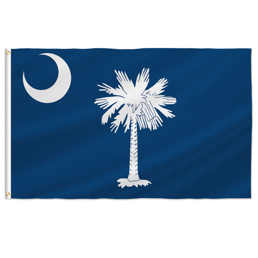 PTEROSAUR USA South Carolina Flag, US American SC South Carolina State Flag with Brass Grommets for Outdoor Indoor Decor Banner